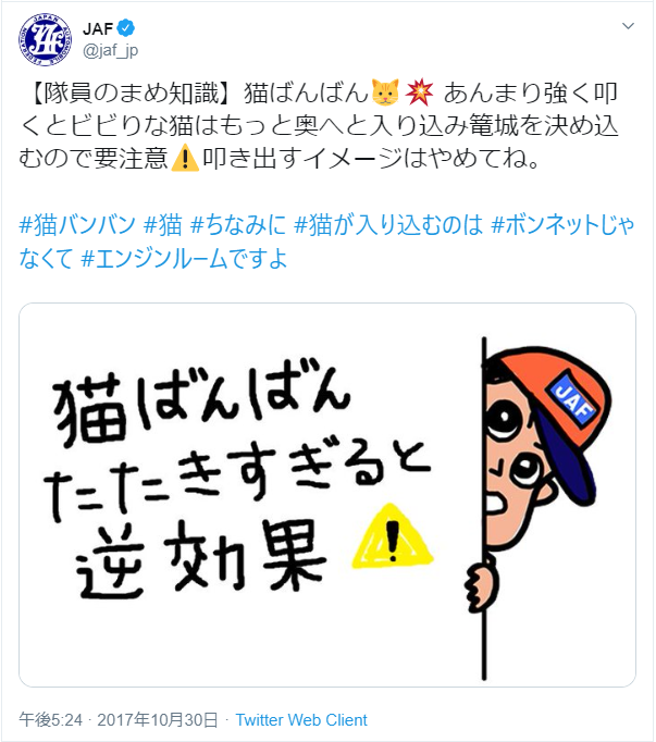 猫バンバン が必要なのは冬だけじゃない 暖冬でも救援要請があるワケ 今日は猫の日 ドライバーweb クルマ好きの 知りたい がここに
