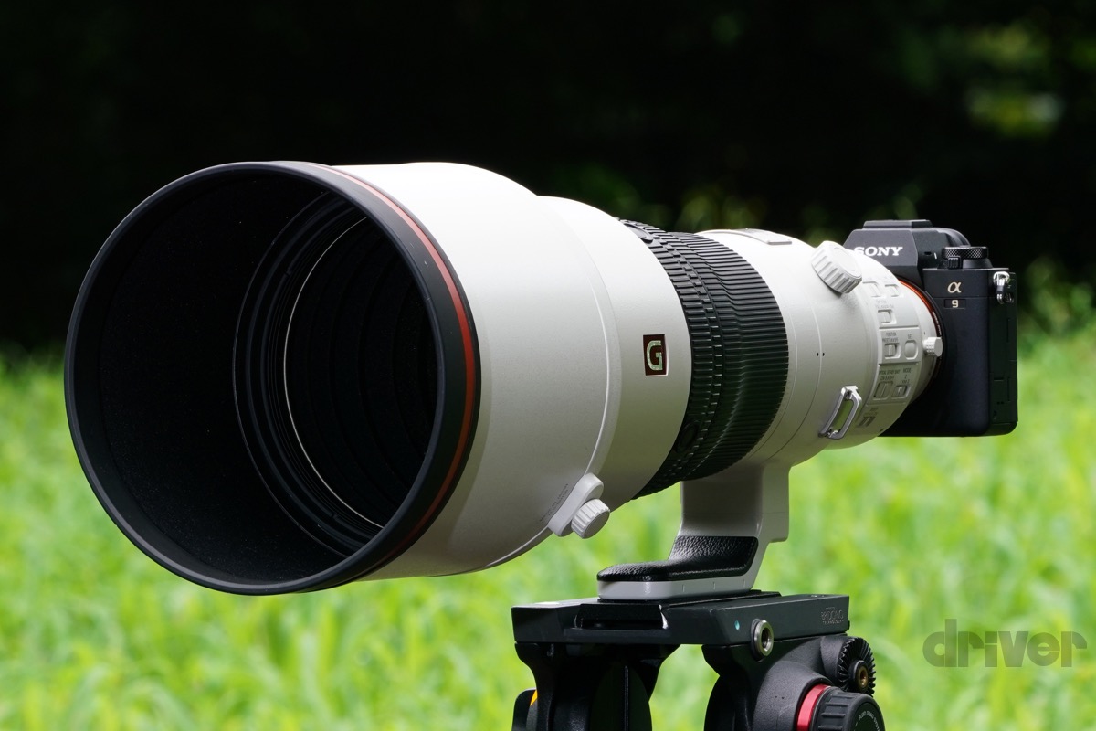 SONY α9Ⅱ + FE 600mm F4 GM