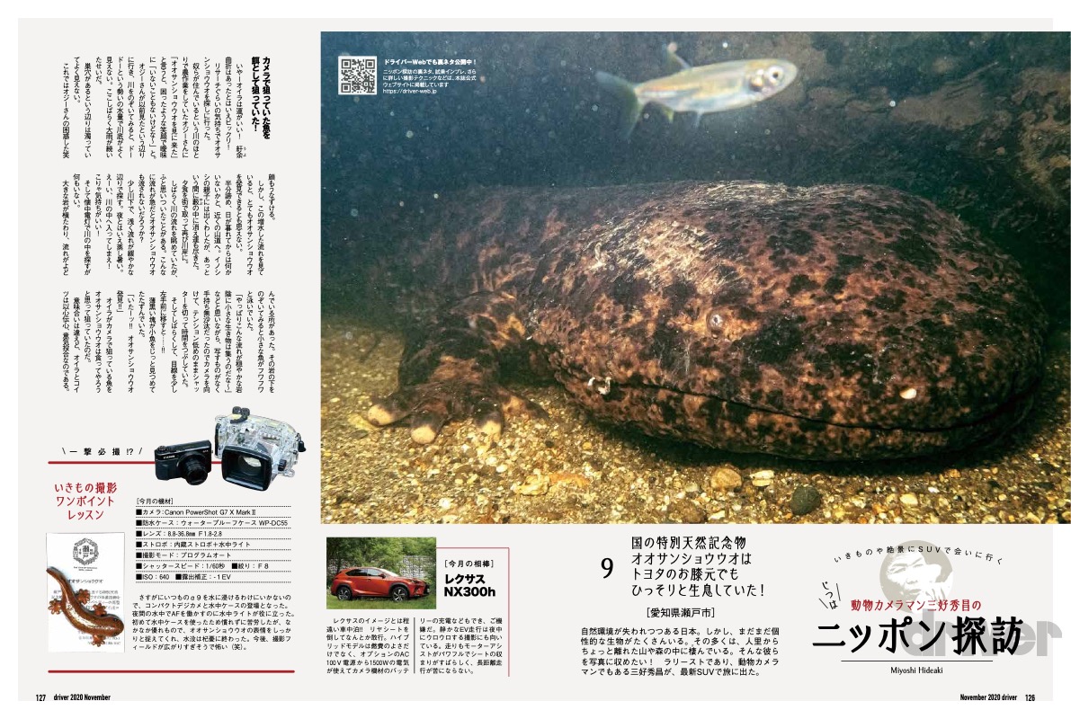 特別天然記念物を接写！「三好秀昌のニッポン探訪・取材ウラ話 第9回